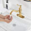 Single-Hole Single-handle Bathroom Faucet with Drain Assembly-81641129