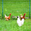 10 Pack Green Fence Stakes for Wire Mesh, Chicken Coop & Pet Barrier, Easy Setup-130372937