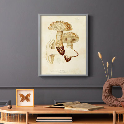 «Mushroom Variétés», reproduction encadrée en bois massif