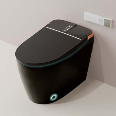 T3MB Uinkoo Smart Toilet