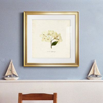 Cornales Hydrangea II - Matted and Framed Under Acrylic Glass, Large Living Room Wall Art