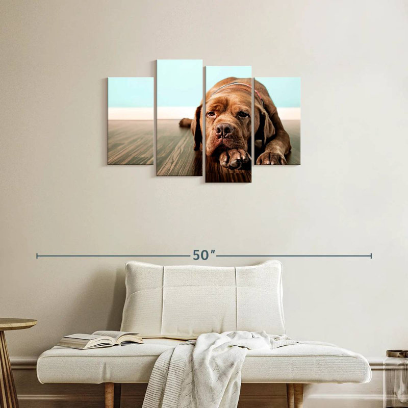 Brampt Bored French Mastiff Dog