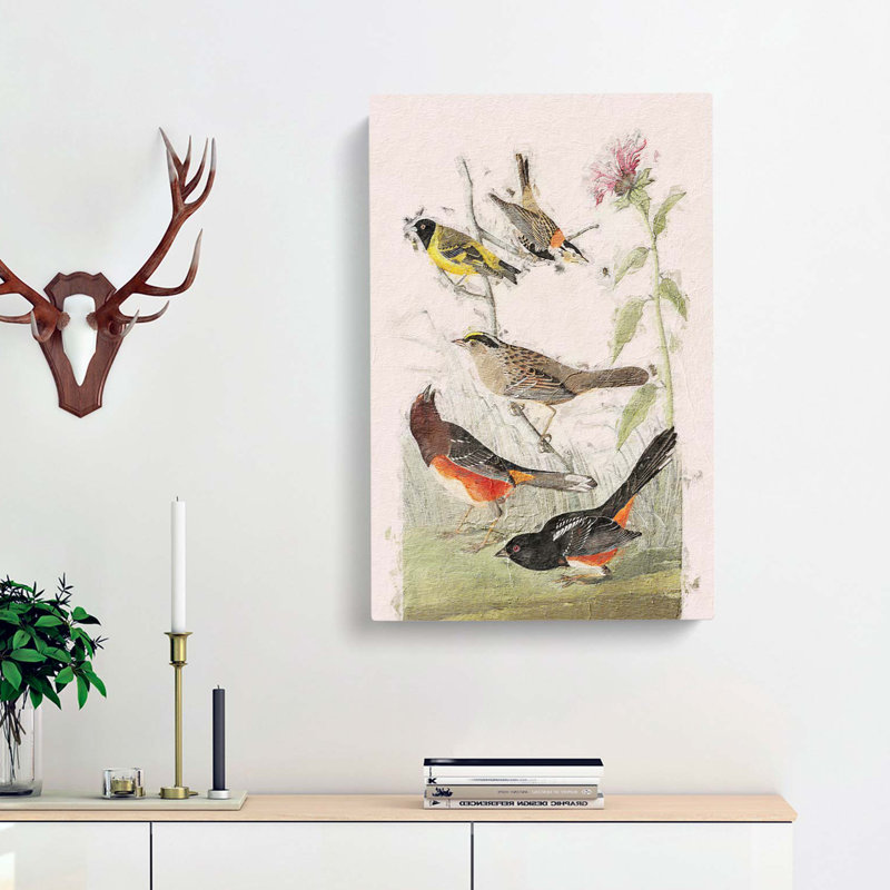 A Selection of Birds by John James Audubon - Wrapped Canvas, 60cm H x 40cm W x 3cm D