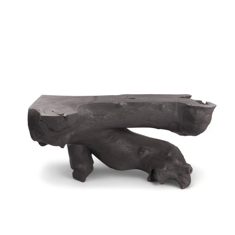 Console noire sculptée naturelle - 2