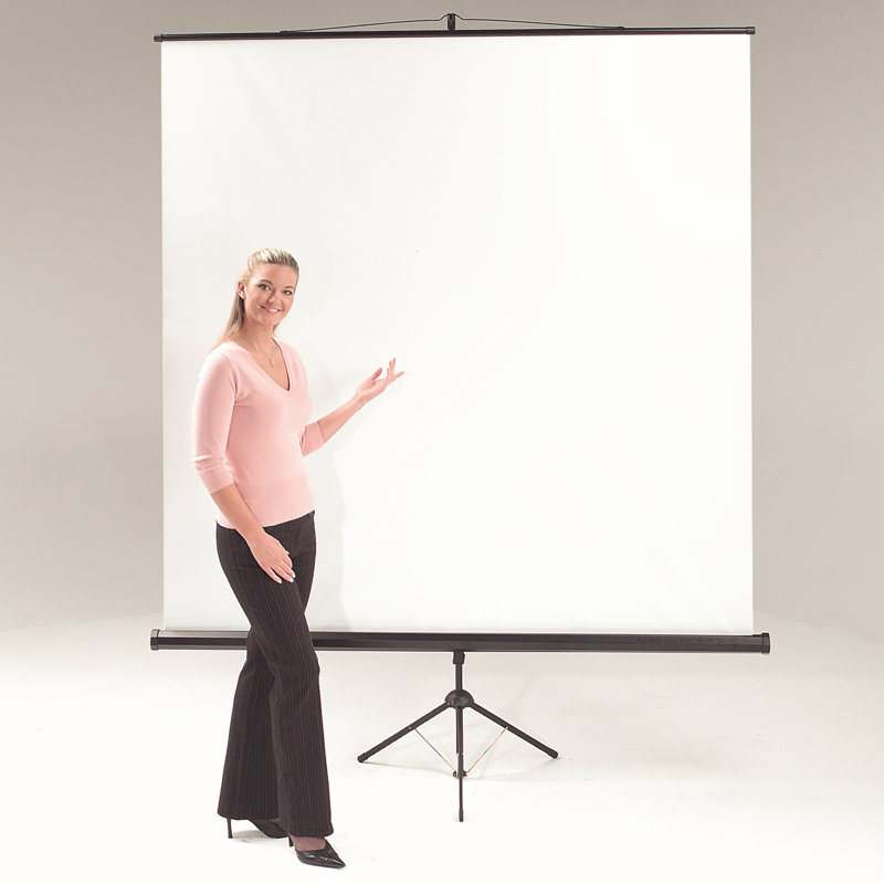 Symple Stuff Portable Projector Screen Projector Screen, 125 cm H x 125 cm W