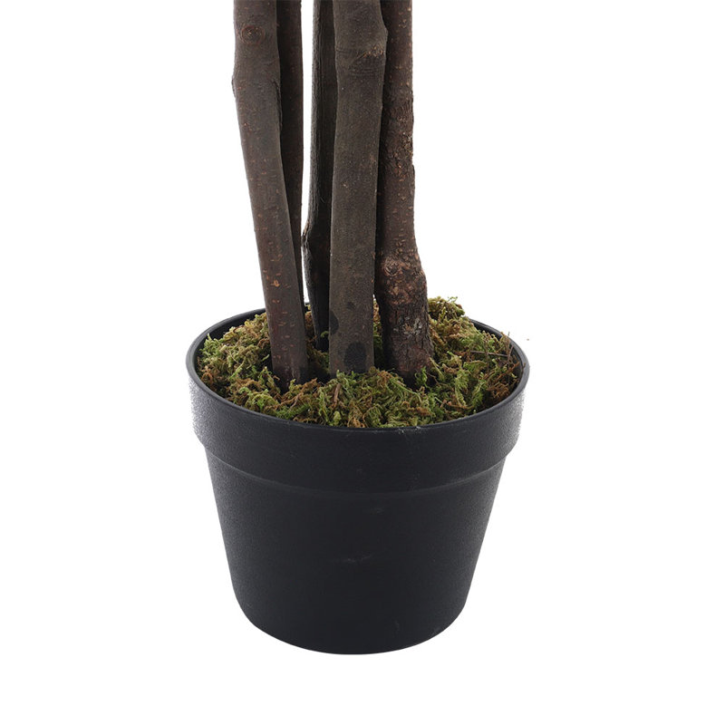 Faux Ficus Tree in Pot, 150cm H x 18cm W x 18cm D