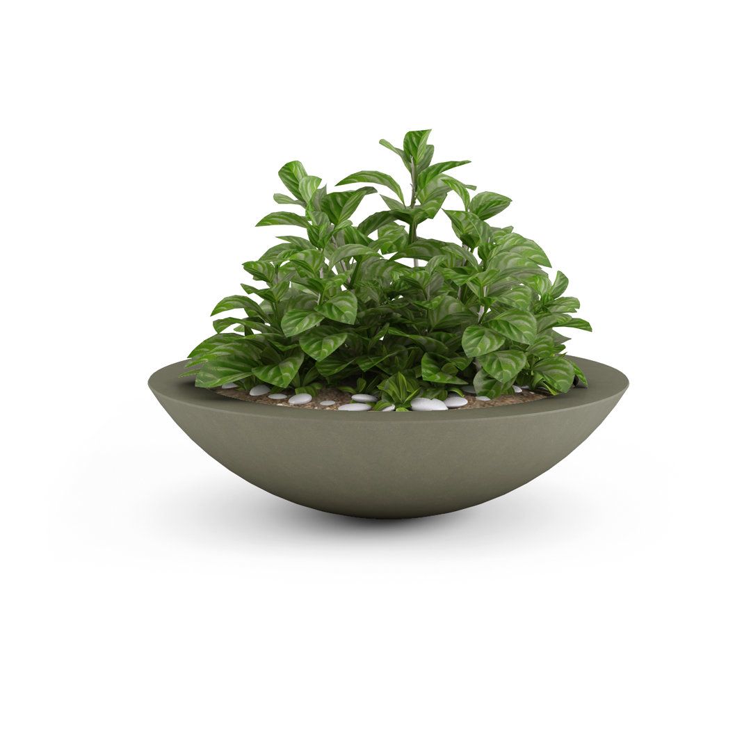 Oceanside Shallow Concrete Planter Latitude Run® 
