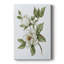 Magnolia Morning II, toile tendue avec châssis de qualité supérieure - prête à être accrochée-1754877051