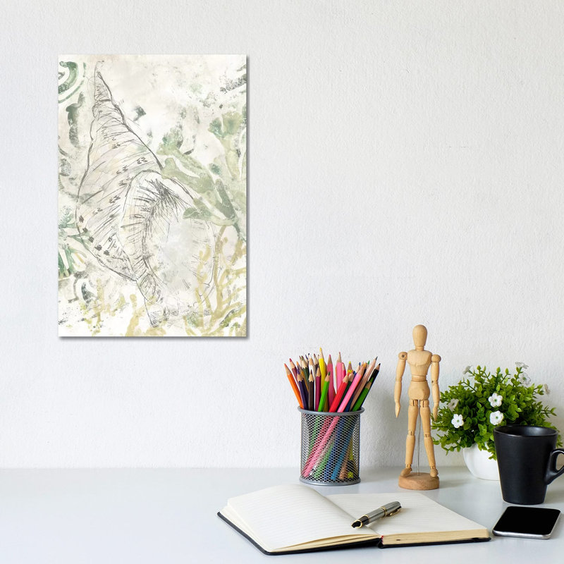 Verdant Shell Fresco II by June Erica Vess - Wrapped Canvas Gallery-Wrapped Canvas Giclée, 30.48cm H x 20.32cm W