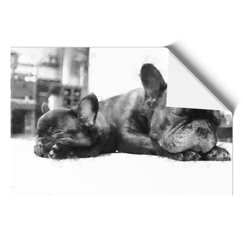 Two French Bulldogs Painting - Frameless Print, 42cm H x 59cm W x 0.1cm D