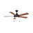 Lawney 5 - Blade LED Standard Ceiling Fan with Pull Chain and Light Kit Included-357830337-357830336-400218781