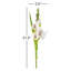 Lissa 21.5" Cheery Gladiola-81831184