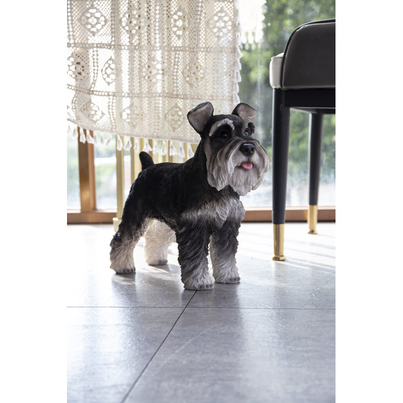 Standing Miniature Schnauzer