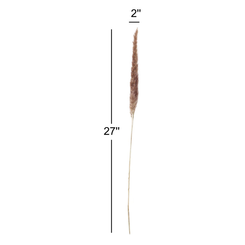 Noemie 27" Pampas Grass, Gray