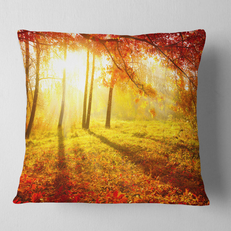 Coussin Landscape, 16 po x 1 po, Carré