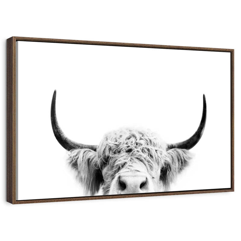 Peeking Cow BW, Cadre flottant noyer, 31 po x 21 po