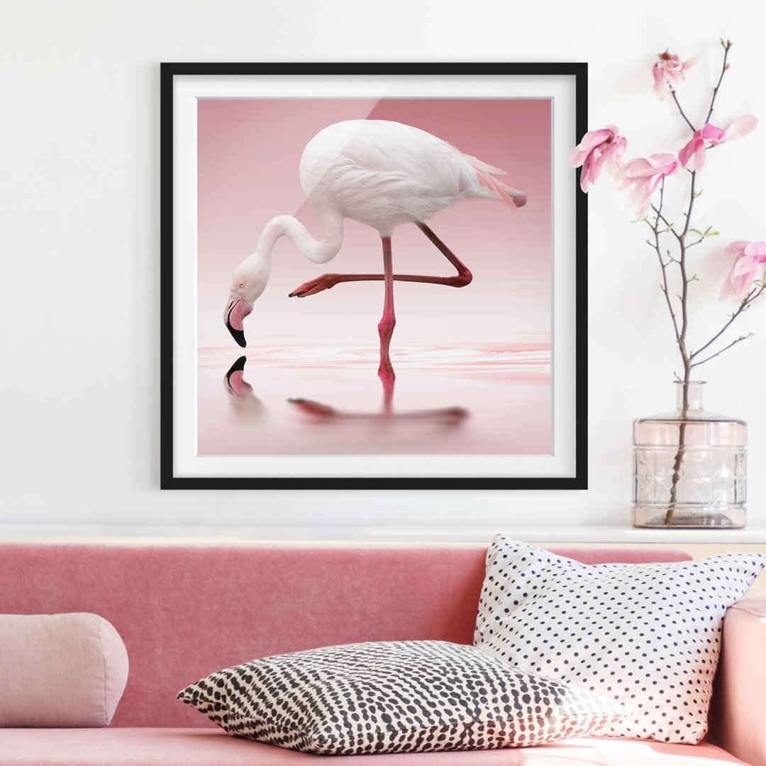 Gerahmtes Poster Flamingo Dance