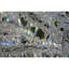 Lustre lumière branche de glace-90634163-90634169-130741860