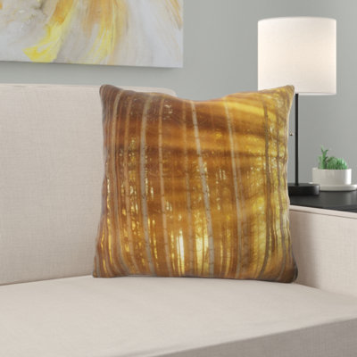 Coussin foncé