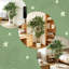 Plant-122711498