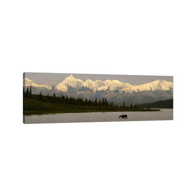 Moose Standing On A Frozen Lake Wonder Lake, Denali National Park, Alaska, USA - Wrapped Canvas Panoramic Print