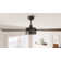 48" Avdie 4 - Blade Ceiling Fan with Light Kit and Remote Control Included