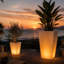 Rumba Planter-10841271
