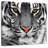 Brampt Staring Tiger-109376991