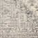 Witten Oriental Indoor Rug