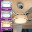 Ventilateur de plafond 52 po avec lustre moderne 52 po avec lumières et télécommande-131440020-131440016