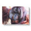 Orangutan Monkey Vol.2 - Wrapped Canvas-61842475