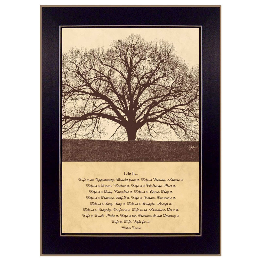 Life Is Framed Wall Art for Living Room, Home Wall Decor Framed Print by John Jones Trinx