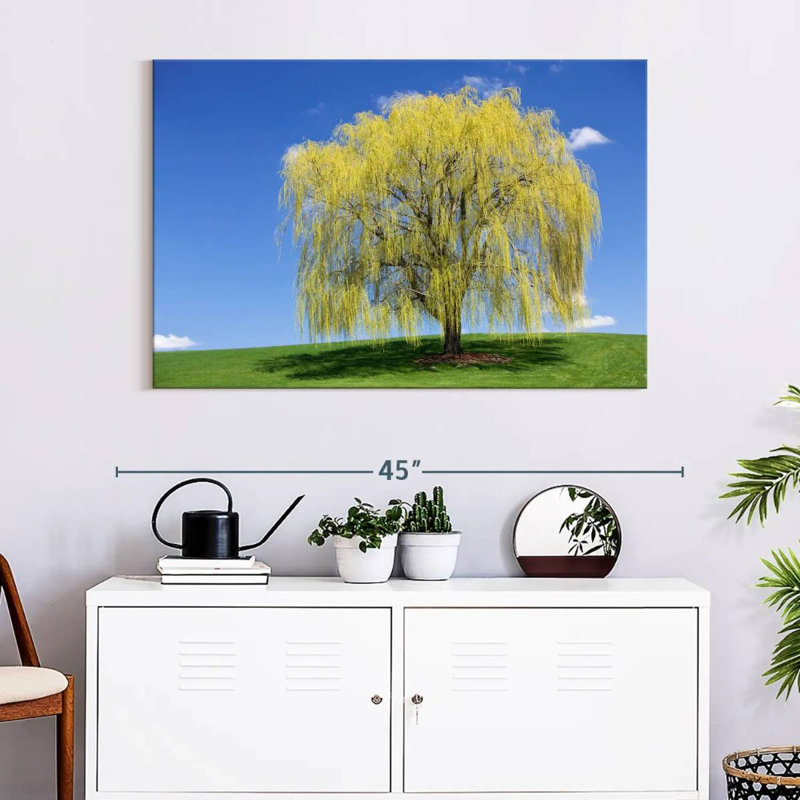 Harnek Spring Weeping Willow, 26" H x 39" W