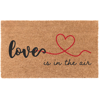 Tapis d'entrée antidérapant Gosha Love is in the air 30 po x 18 po