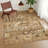 Machine Washable Indoor/Outdoor Chantille ACN2638 Global Rug-441789666-441789677