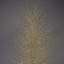 Birch Tree with Warm White LED Lights-63383336-63383335