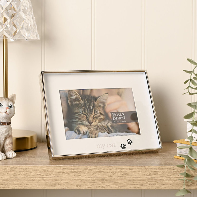 Silver Metal Picture Frame