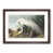 Walnut Framed selected