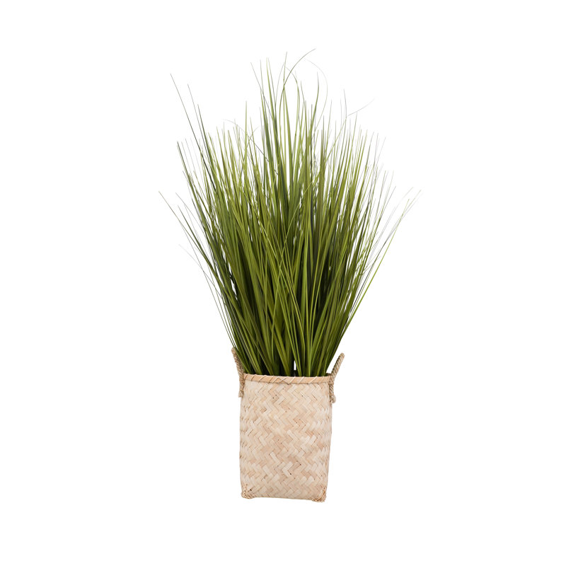 Herbe de 48 po dans un panier en osier