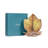 Forest Walk Leaf Plate Assorted 4 - Piece Set