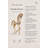 Animals Figurines & Sculptures