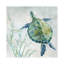 Seaglass Turtle II by Carol Robinson - Wrapped Canvas Painting-626081960-620405279