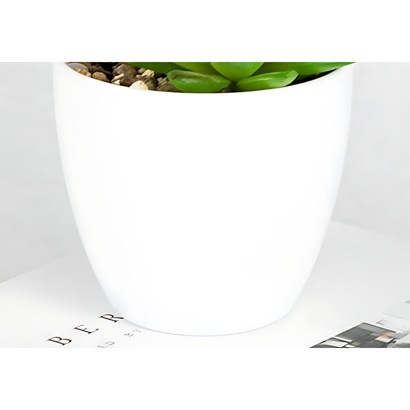 Herbes 5,51 po