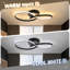 Darlyne Black LED Flush Mount