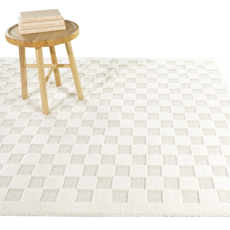 Auletta Checkered Machine Woven Rectangle 5'3" x 7' Polyester/Polypropylene Area Rug in Cream