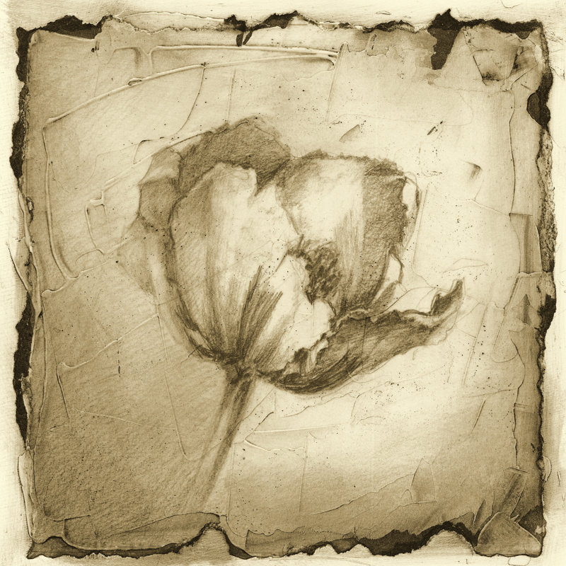 Floral Impression IV by Ethan Harper - Wrapped Canvas Art Prints, 30cm H x 30cm W