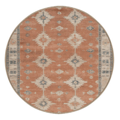 Machine Washable Overdyed Brown Area Rug
