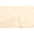 Sienna Beige Rug 5'2" x 8'0"