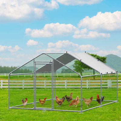 Chiriac Chicken Run