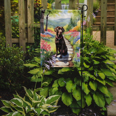 Taevin Double Sided 15.5'' H x 11.25'' W Polyester Garden Flag